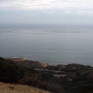 Meet your Posher, Glinda